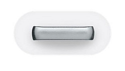 Адаптер для Apple MD820ZM/A microUSB-(8pin)